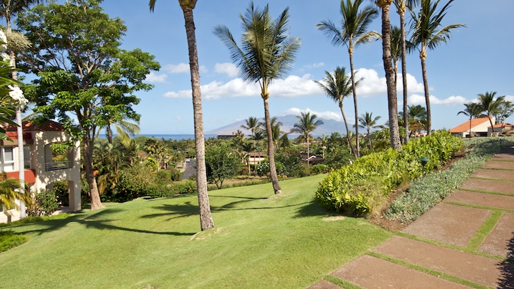 These condos are perched just high enough to have beautiful ocean views