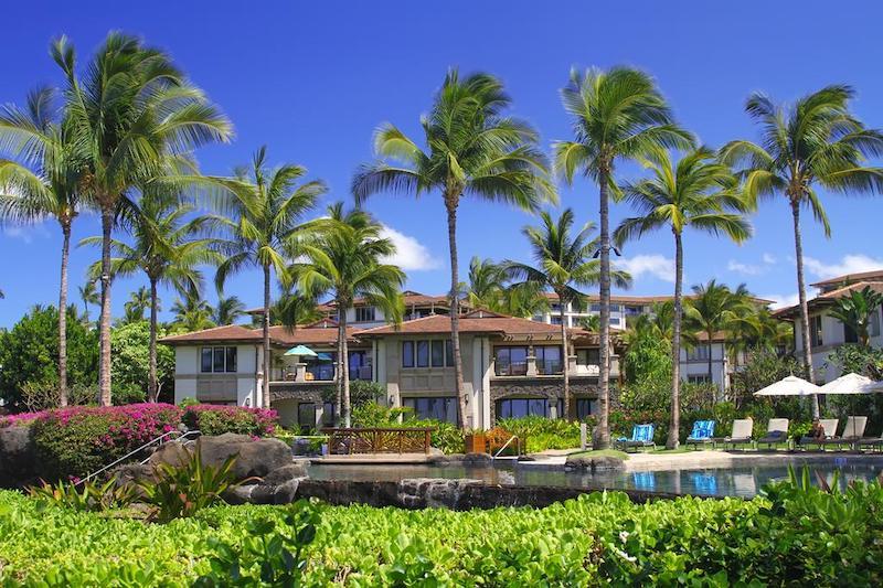 Mature palm trees grace the landscape among the buildings