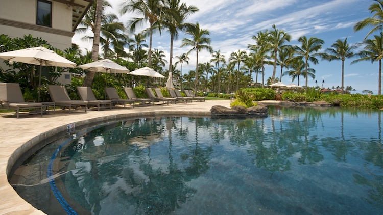 Beautifully landscaped poolside like its been here naturally