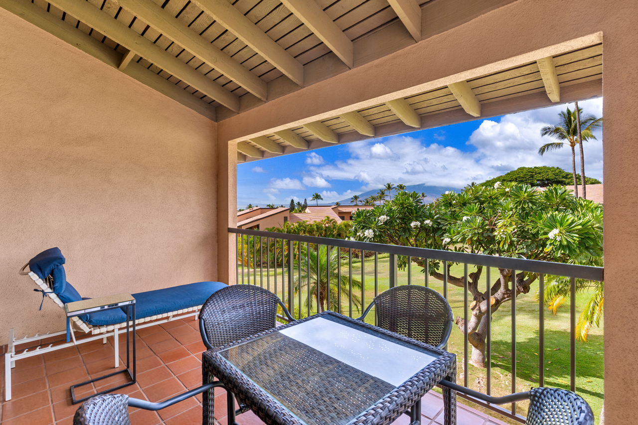 Large covered lanai: 