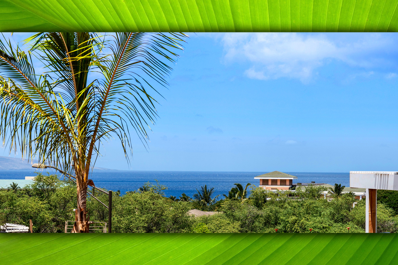 Ocean views: